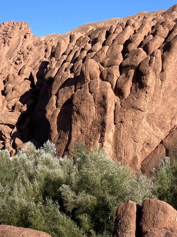 Gros plan d'un paysage rocheux aride.