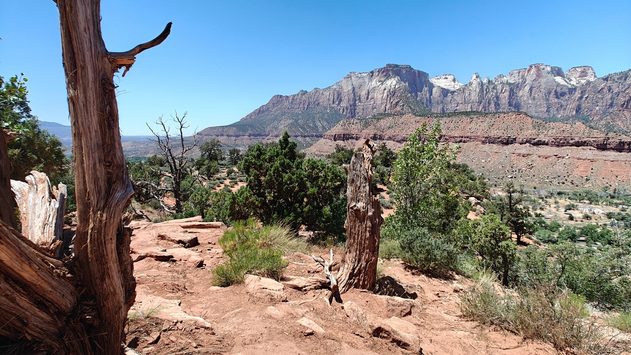 Vue panoramique d'un paysage désertique avec des montagnes et une végétation sèche.