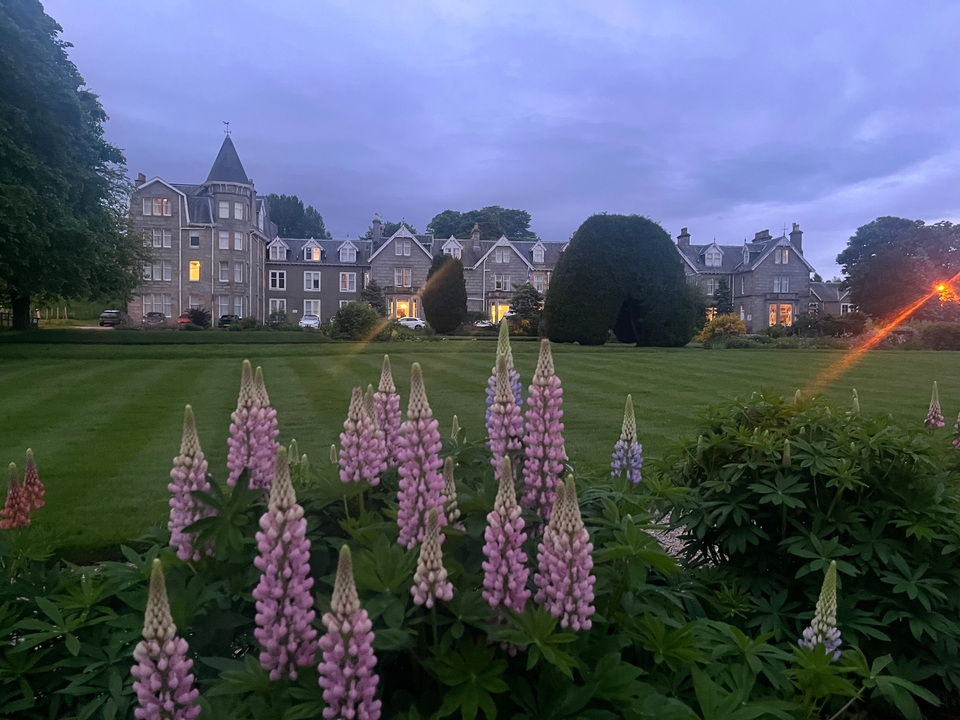 Paysage de jardin avec des fleurs et un bâtiment historique.