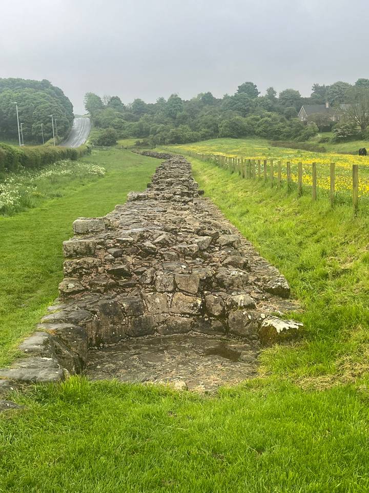 Vestiges de voie romaine dans une zone de prairie.