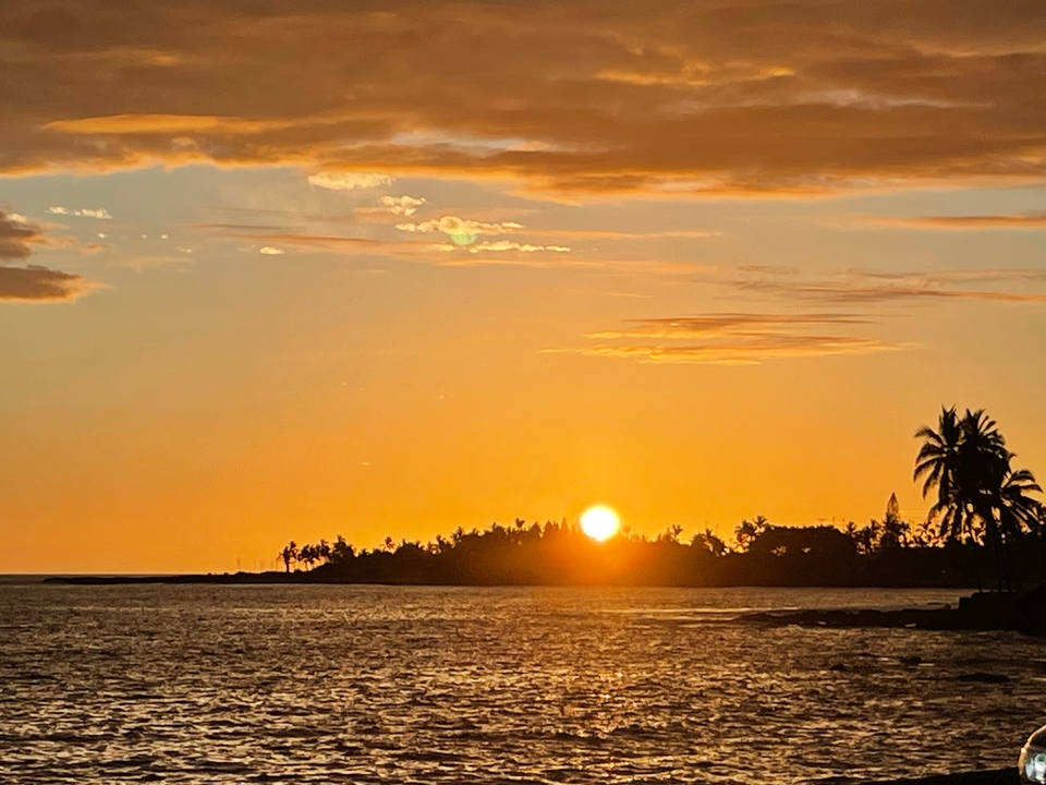 Coucher de soleil sur l'océan avec des palmiers et un littoral en silhouette.