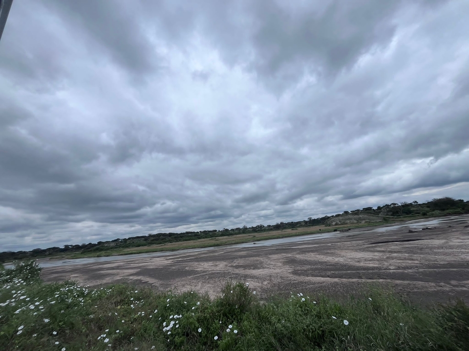 Paysage de lit de rivière sous un ciel nuageux