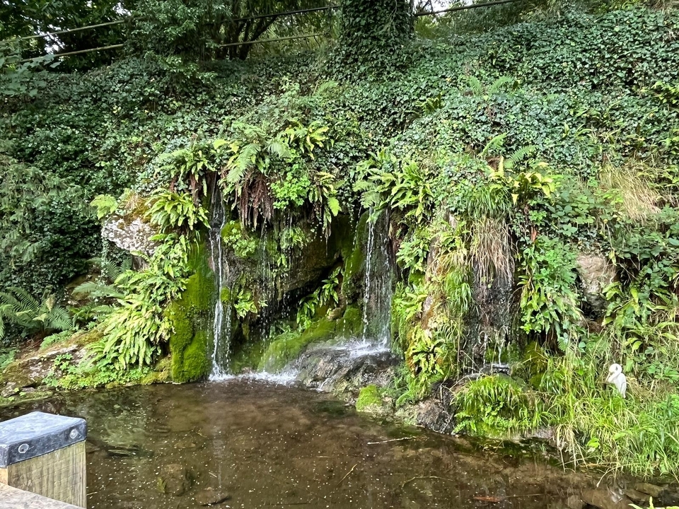 Petite cascade dans un cadre verdoyant luxuriant