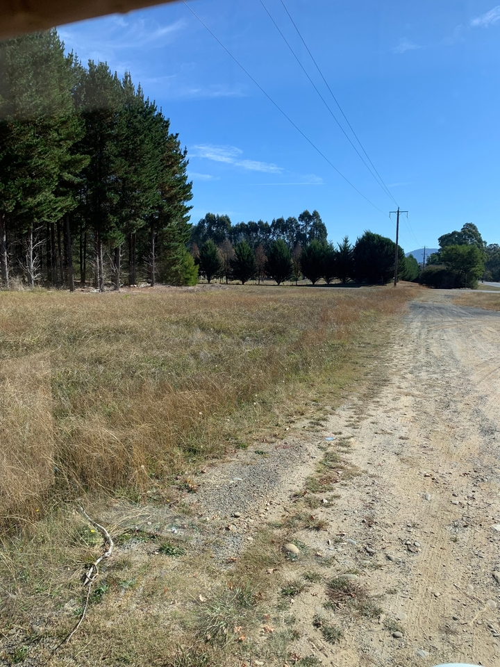 Paysage de champ ouvert avec des arbres bordant l'horizon