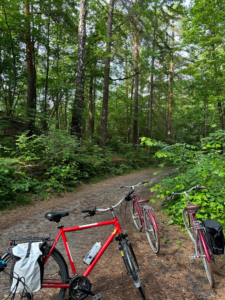 Vélo sur un sentier forestier.