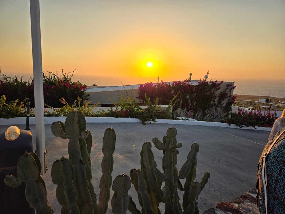 Vue du coucher de soleil avec des cactus et des fleurs sur une terrasse.