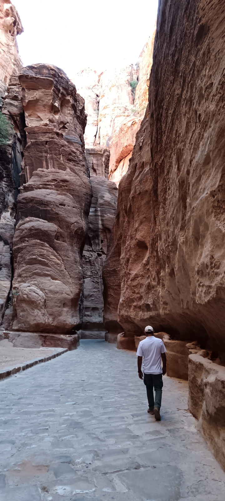 Translated from English to French:
Canyon avec de hautes formations rocheuses.