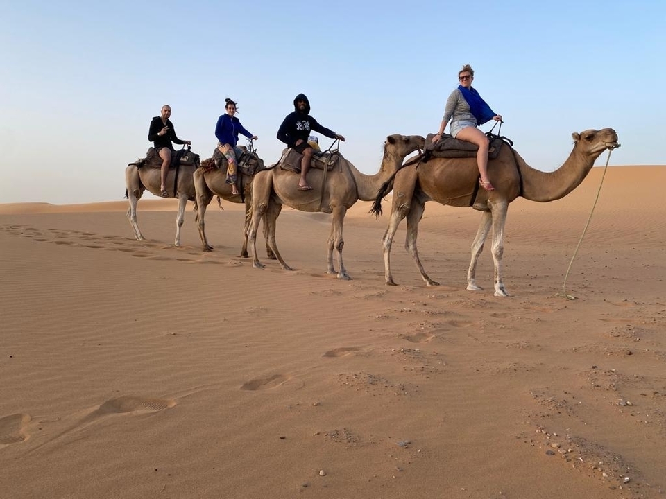 Des touristes montés sur des chameaux traversent les dunes du désert.