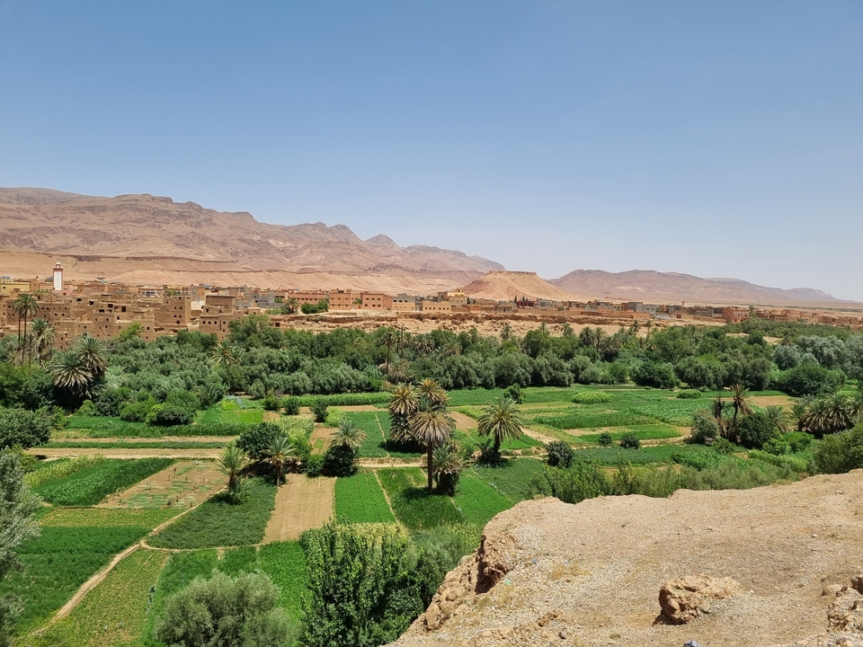 Vue panoramique d'un village marocain avec des champs verts et des montagnes en arrière-plan.