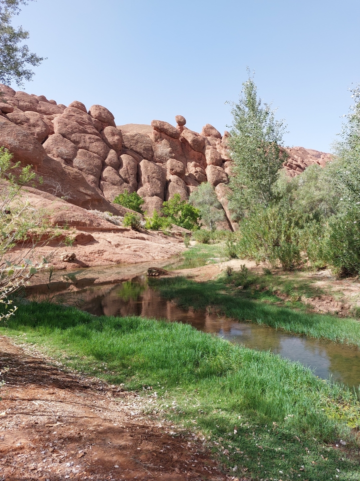 Oasis verdoyante dans un canyon désertique.