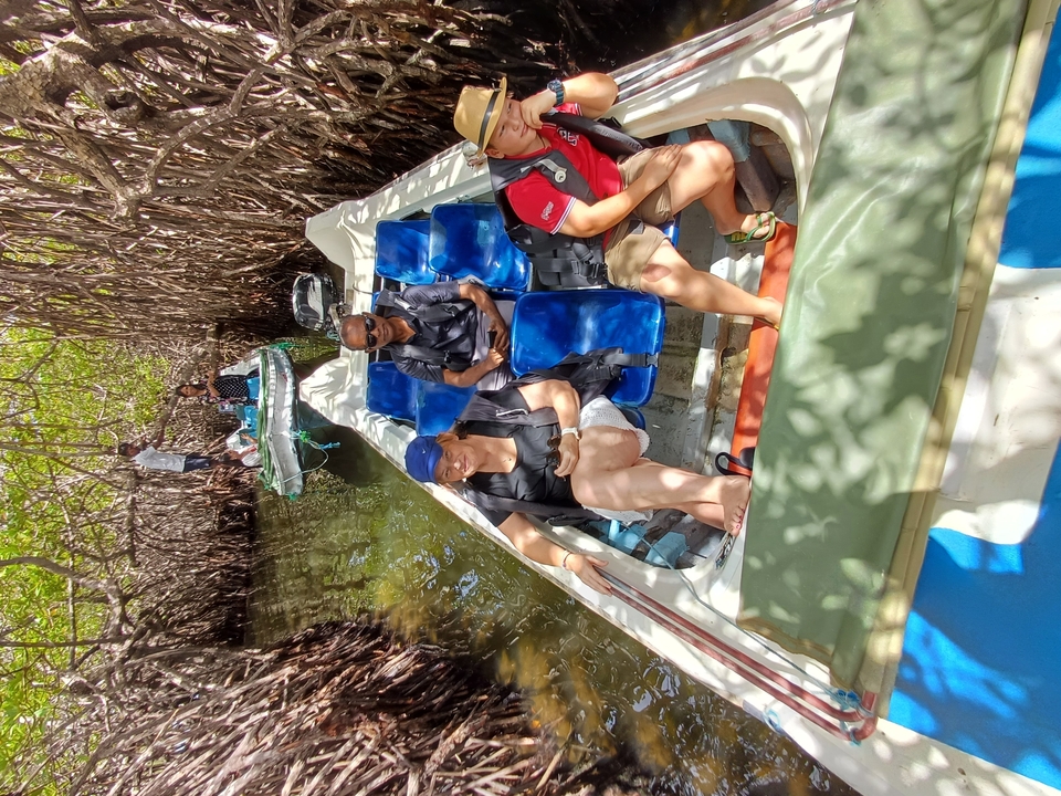 Des gens dans un bateau naviguant à travers les mangroves.