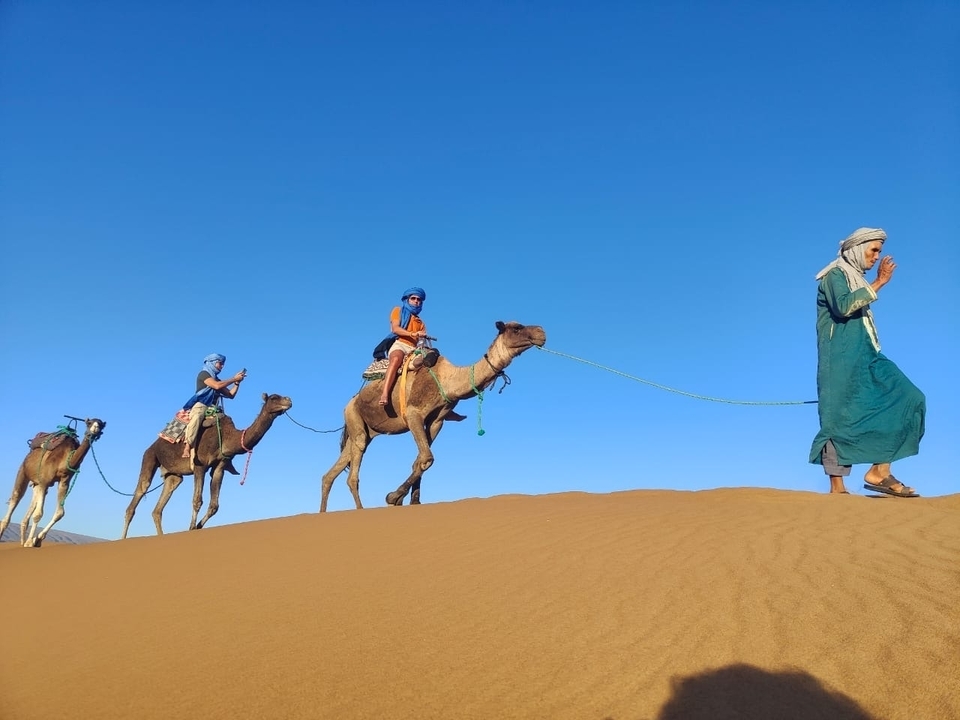 Caravane de chameaux sur une dune de sable menée par un guide.
