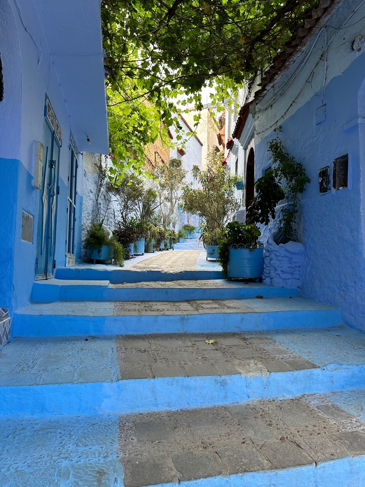 Ruelle bleue paisible avec des plantes en pot bordant le sentier.