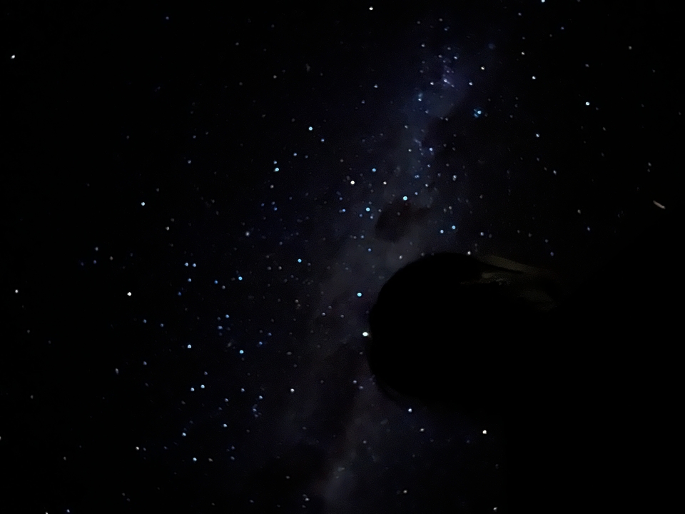 Ciel nocturne étoilé avec la silhouette d'une personne.