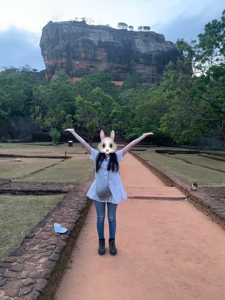 Personne debout sur un chemin avec un emoji lapin couvrant son visage.