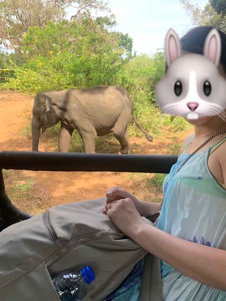 Personne avec un emoji de lapin sur le visage à côté d'un éléphant.