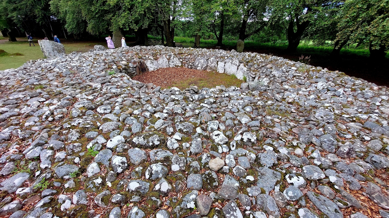 Un arrangement circulaire de pierres avec de la mousse et du feuillage qui poussent autour.