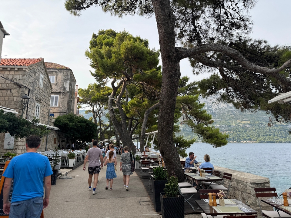 People walking along a coastal pathway lined with trees.