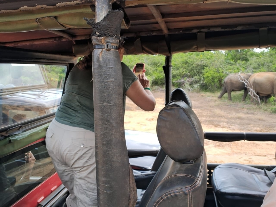 Personne se penchant hors d'un véhicule de safari pour prendre une photo de la faune.