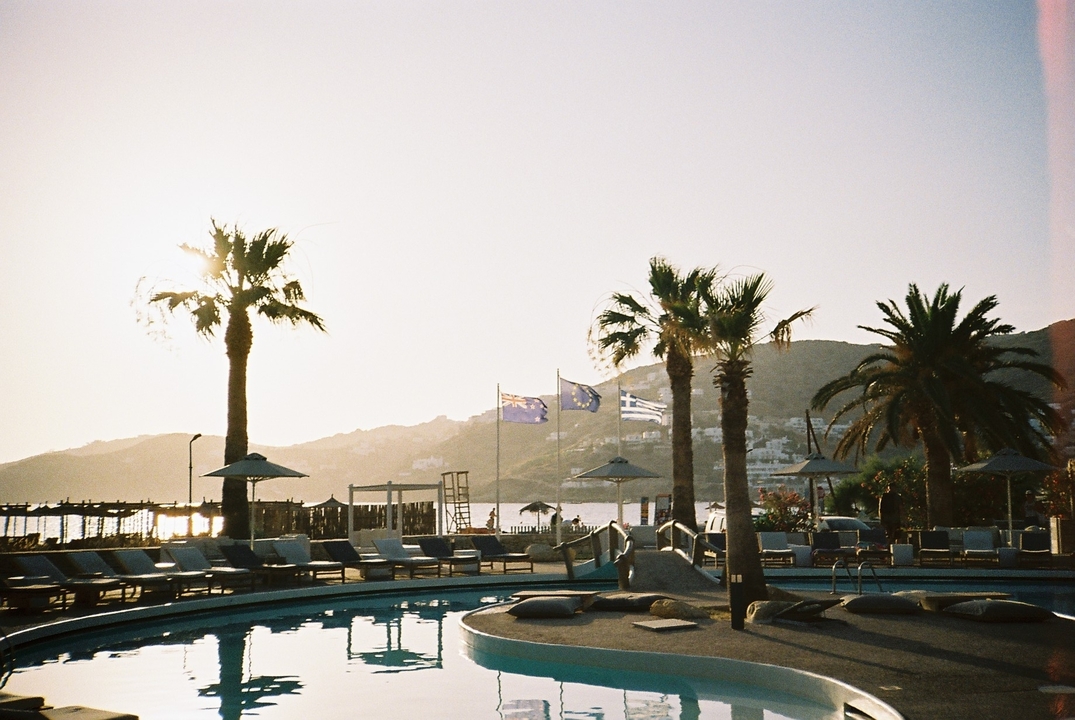 Piscine avec palmiers et drapeaux