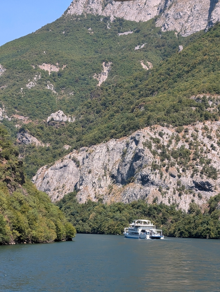 Montagnes rocheuses lointaines enveloppées d'une forêt dense