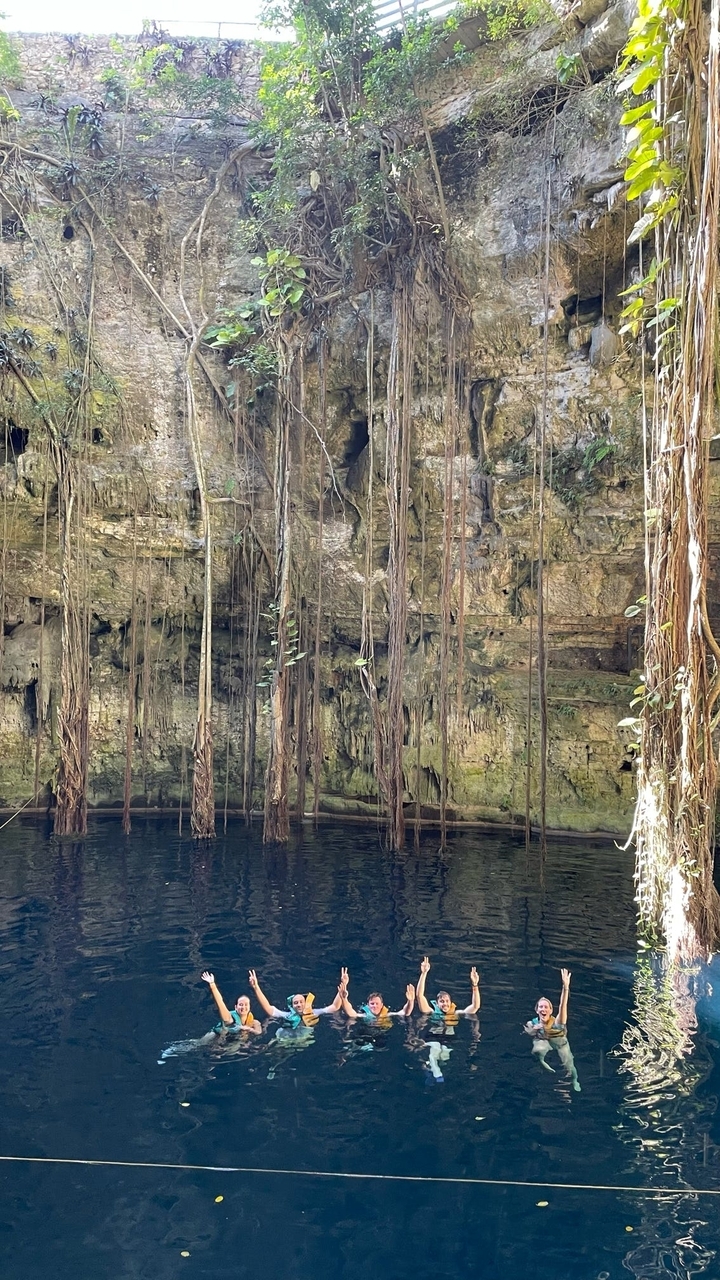 Cénote tropical avec des racines pendantes et des murs couverts de mousse.