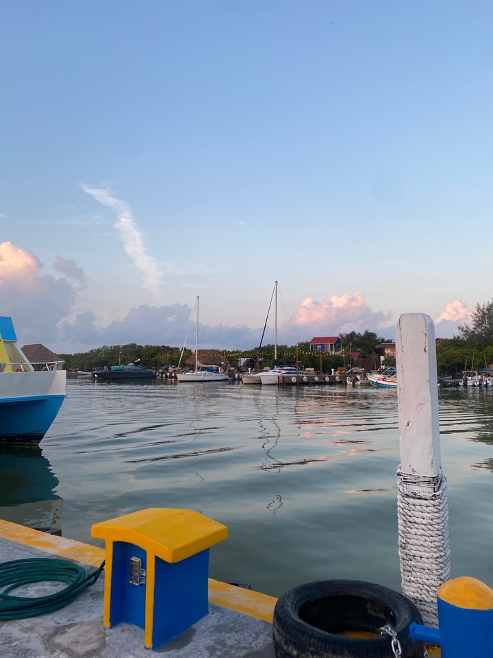 Bateaux amarrés dans une marina avec des bâtiments colorés.