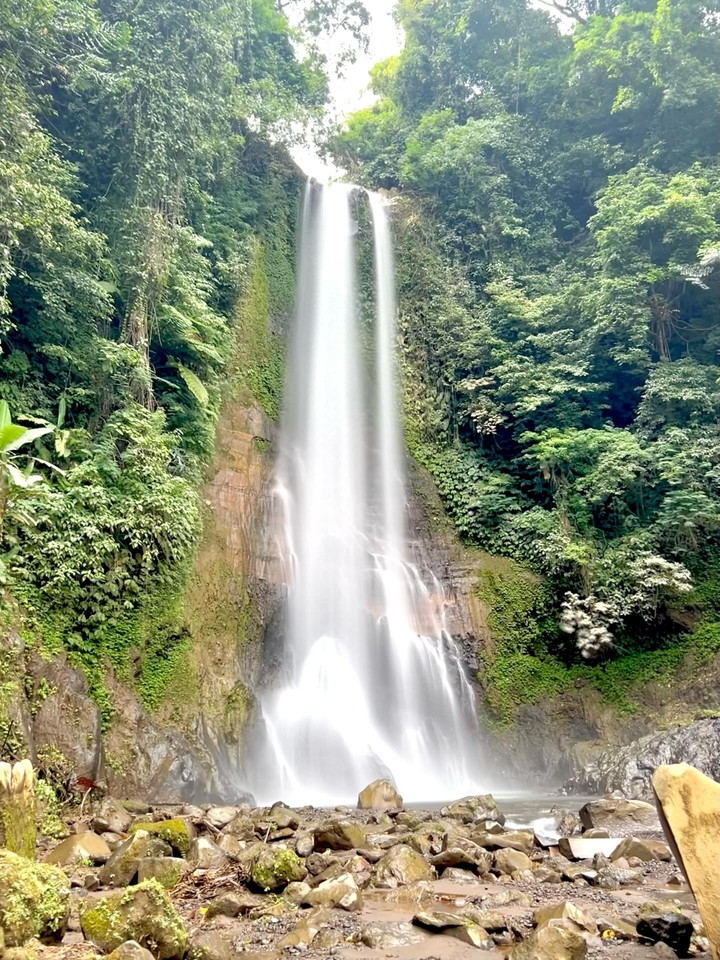 Tall waterfall in a lush forest setting.