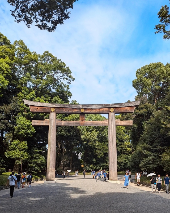 Portique torii en bois entouré d'arbres verdoyants.