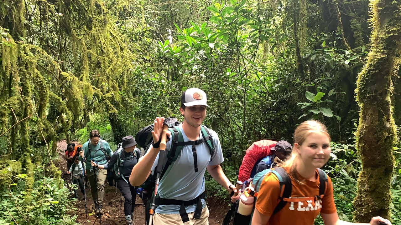 Des gens qui font de la randonnée sur un sentier forestier luxuriant et verdoyant.