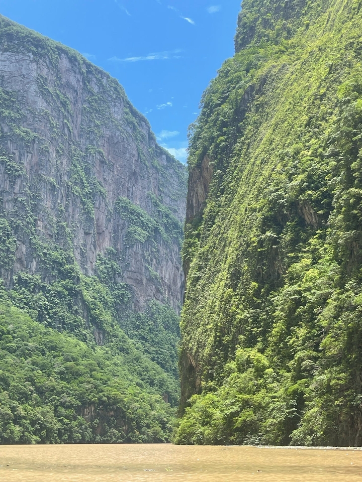 Un canyon fluvial étroit avec une végétation luxuriante sur les falaises.