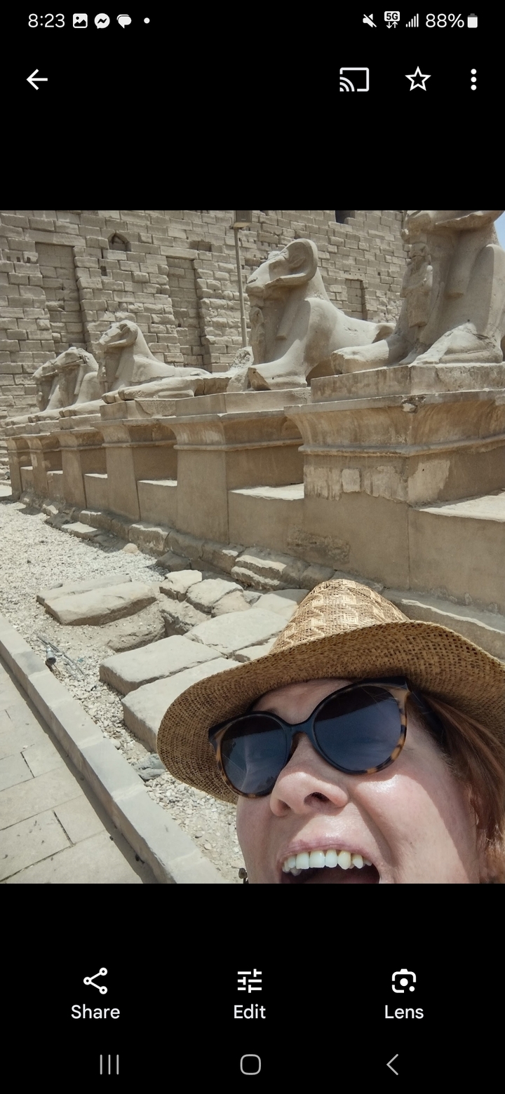 Vue partiellement obstruée des ruines