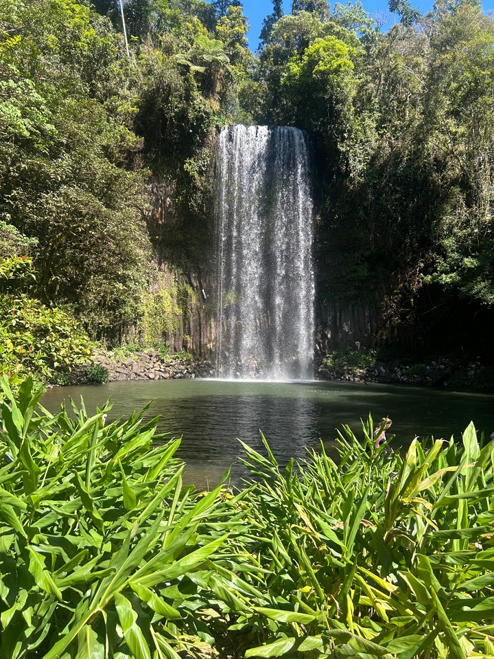 Haute chute d'eau se déversant dans un petit bassin entouré d'arbres