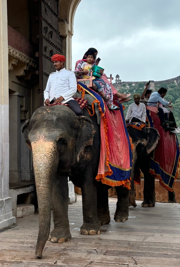 Des gens montant des éléphants décorés dans une procession.
