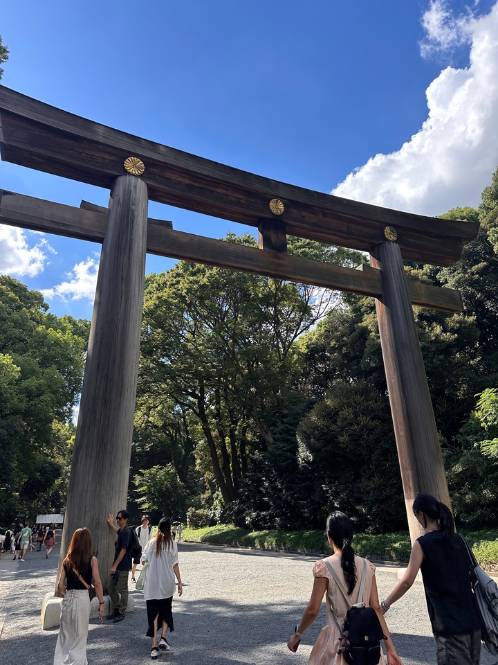 Torii japonais traditionnel entouré d'arbres.