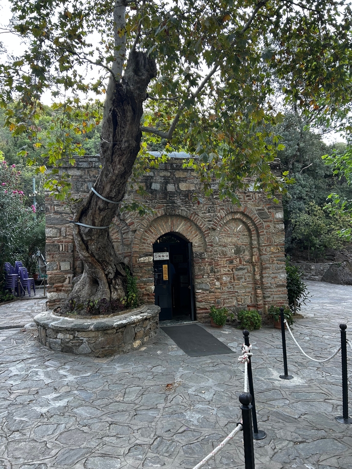 Stone building with brick arches and a large tree outside.