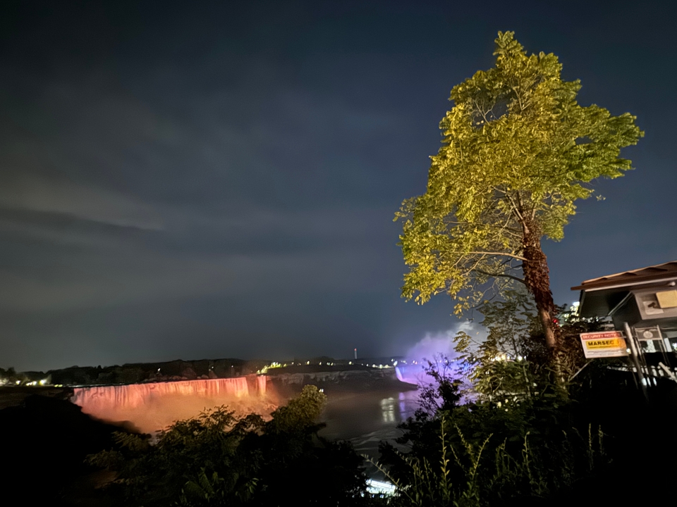 Les chutes du Niagara illuminées la nuit avec un arbre au premier plan.