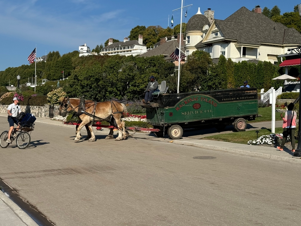 Calèche et cycliste sur une rue bordée de verdure.