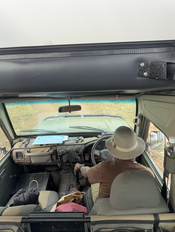 Personne conduisant un véhicule de safari dans un cadre naturel.