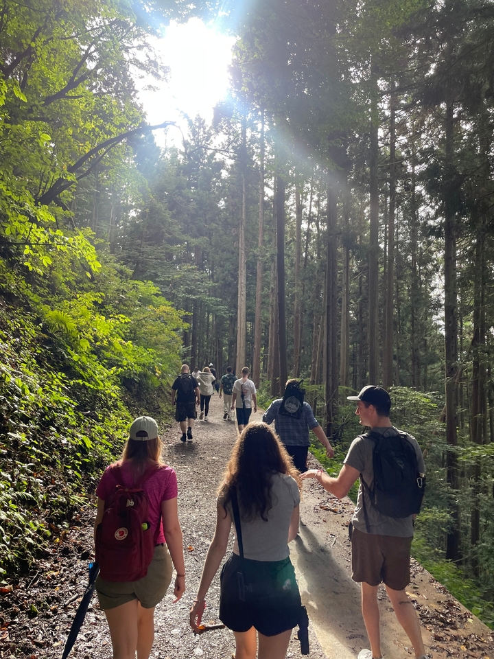Des gens qui font de la randonnée dans une forêt.