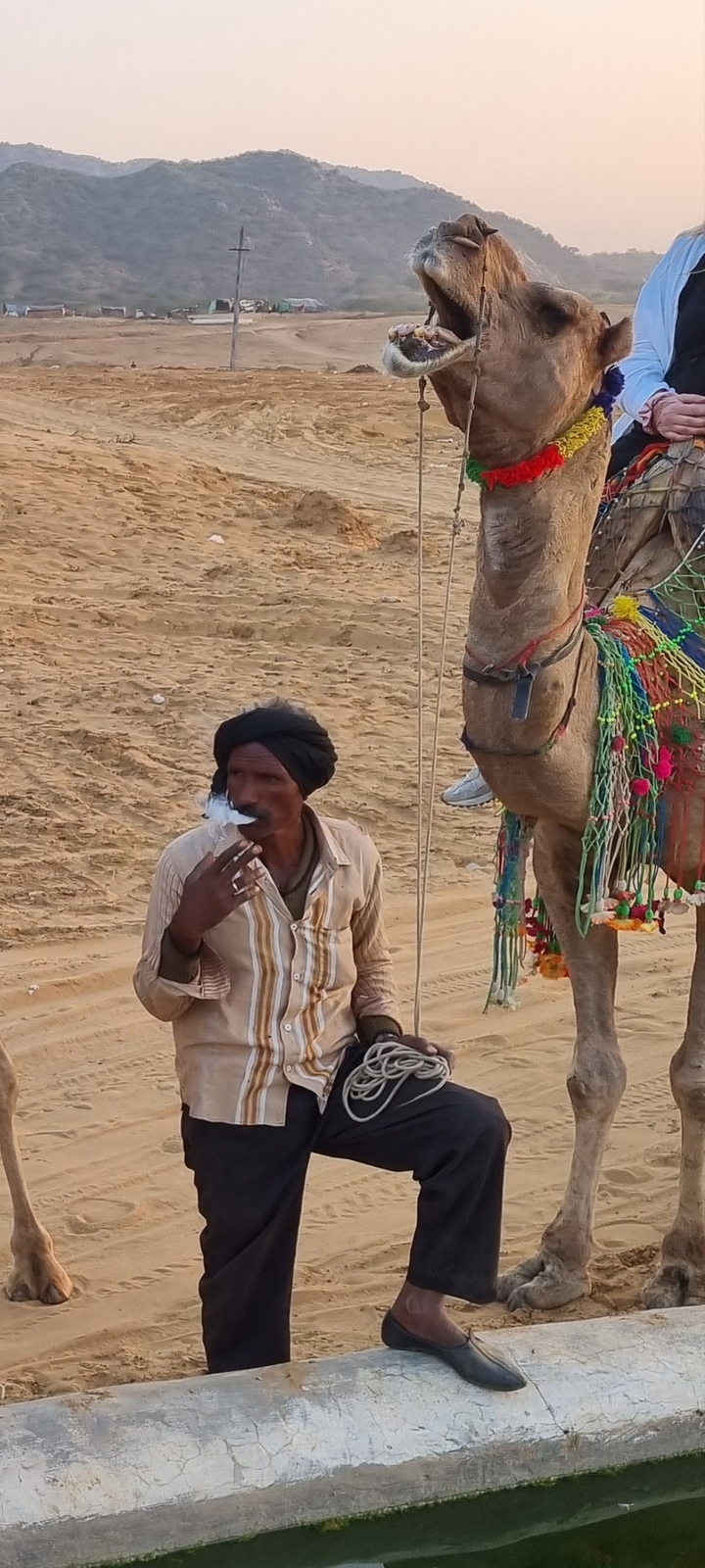 Homme avec un chameau dans une zone désertique.