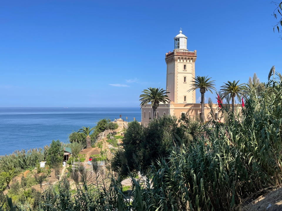 Phare au bord de la mer avec palmiers et vue sur l'océan.