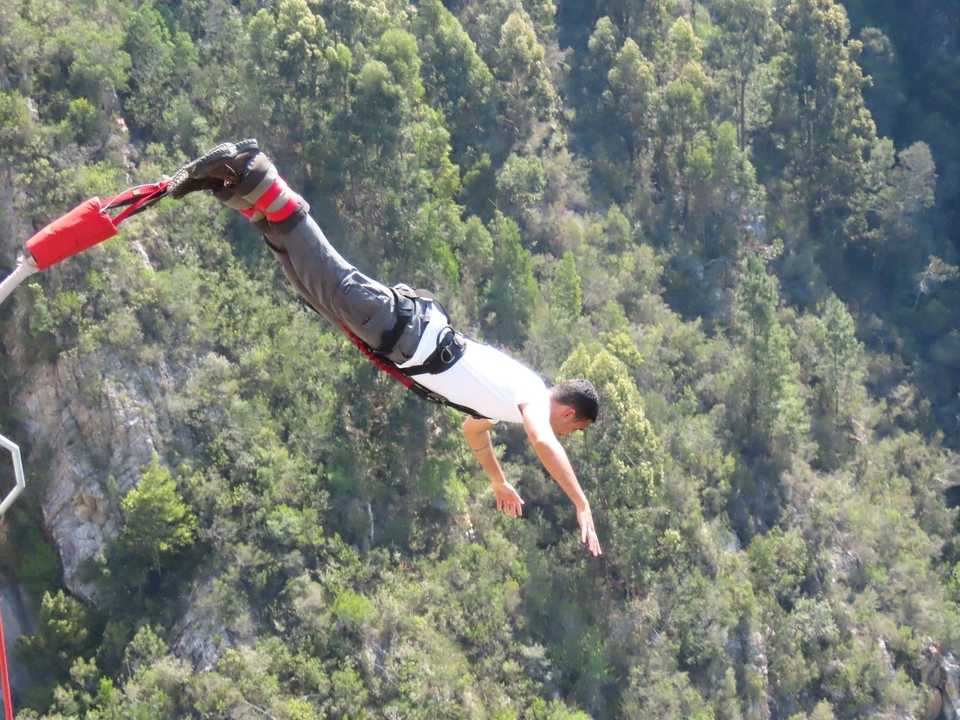Personne faisant du saut à l'élastique avec des arbres en arrière-plan.
