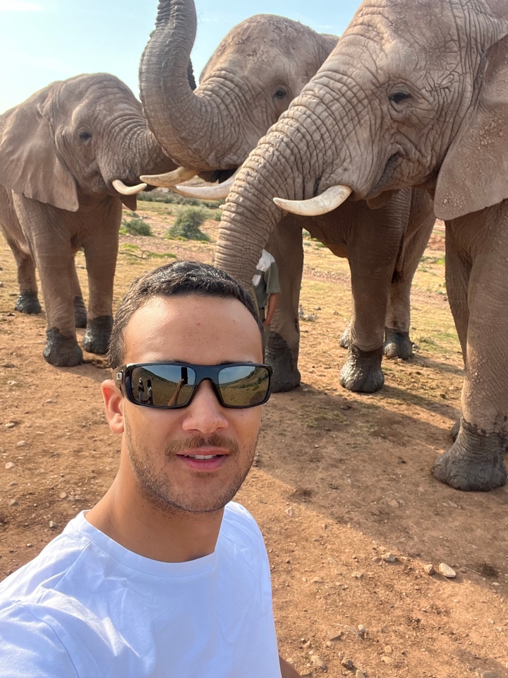 Selfie avec des éléphants en arrière-plan.