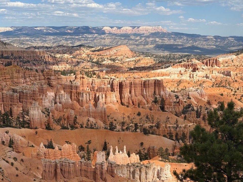 Vue panoramique des formations rocheuses uniques du canyon de Bryce sous un ciel immense.