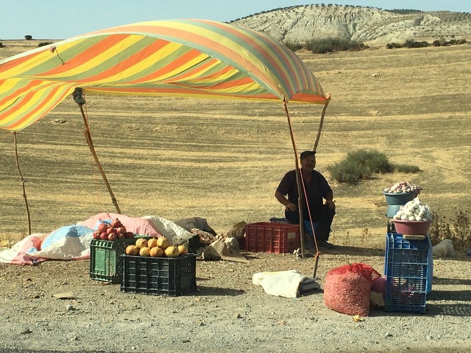 Personne vendant des fruits sous un auvent dans un paysage aride.