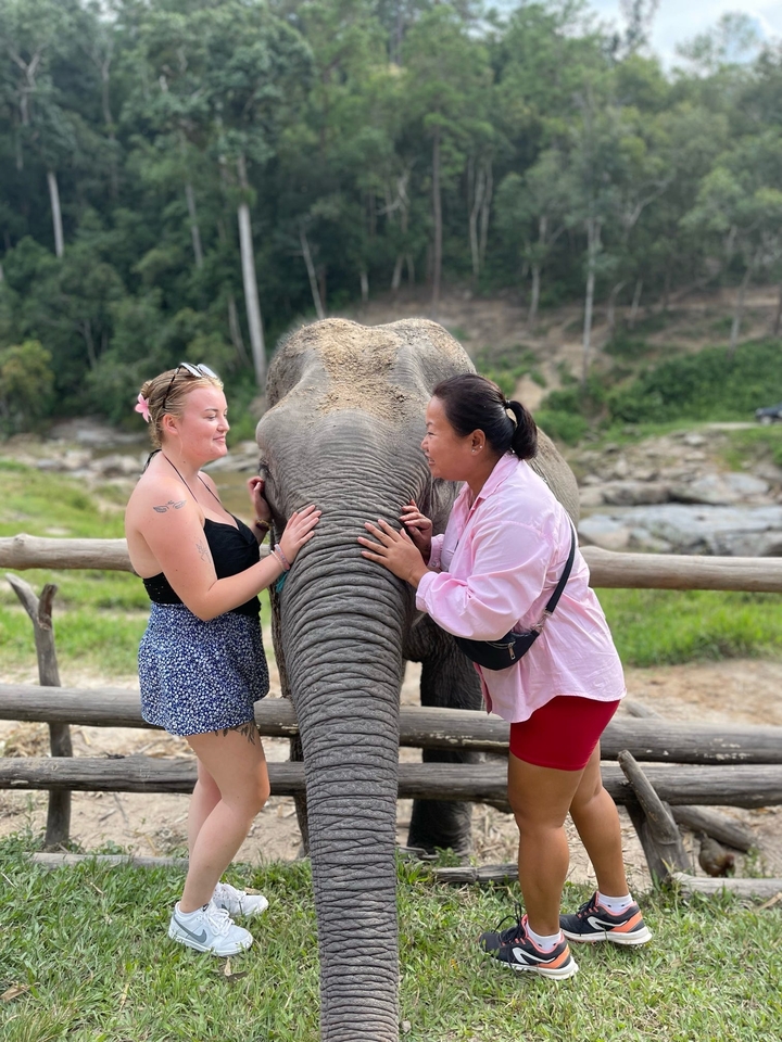 Deux femmes interagissent avec un éléphant.
