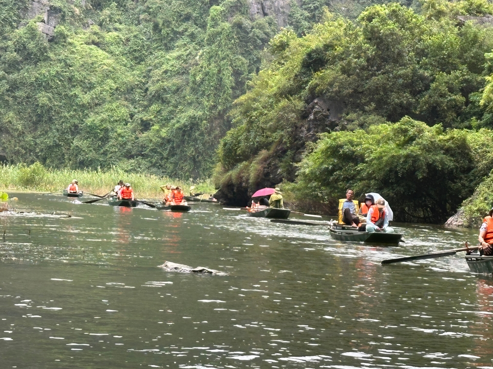 Tourists wearing life-jackets are rowed through a narrow river gorge lush with tropical vegetation.