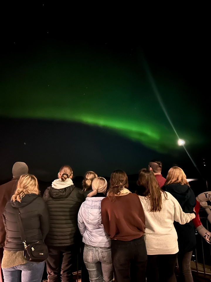 Groupe regardant les aurores boréales au clair de lune.