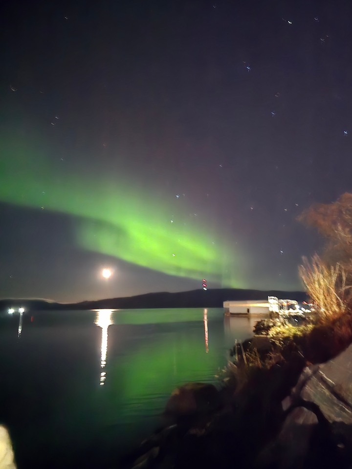 Aurores boréales au-dessus d'un plan d'eau sous la lumière de la lune.